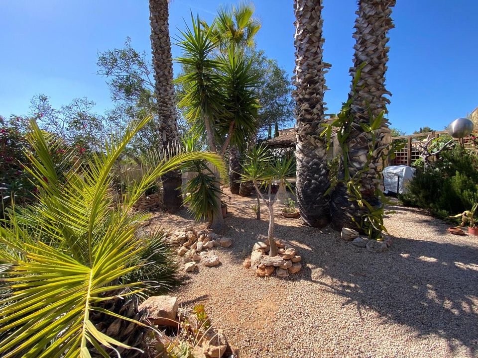Byhus i Sa Rapita, Mallorca - foto 2